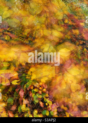 Autumn leaves abstract Stock Photo