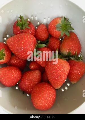 Strawberries in a bowl Stock Photo