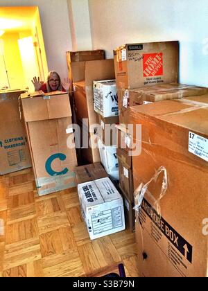 Woman humorously waving from an overwhelming stack of moving boxes, USA Stock Photo