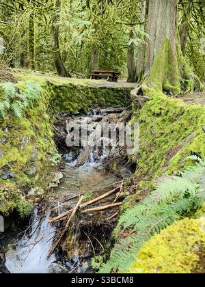 Picnic Area in Bridal Veil Falls Provincial Park in Rosedale, British Columbia, Canada Stock Photo
