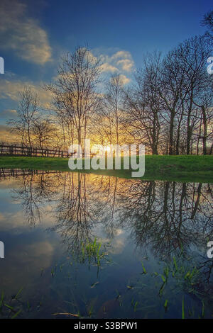 Late afternoon winter sun coming through trees and reflected in pond Stock Photo