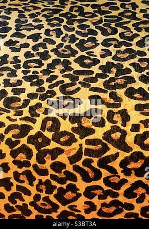 Just leopard print cuz we love it Stock Photo