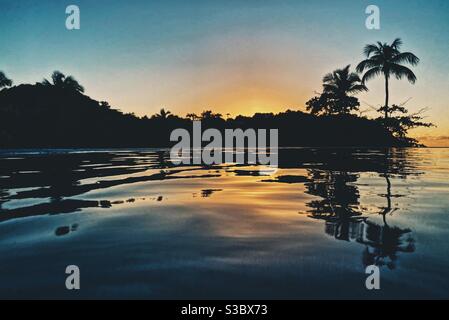 Sunset over a jungle. Swimming pool and palm trees in the foreground. Stock Photo