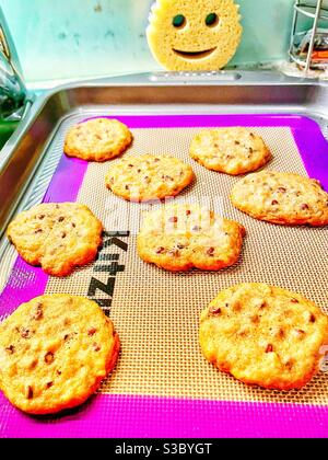 Who isn’t a cookie monster when the aroma homemade Tollhouse cookies is beckoning? Stock Photo