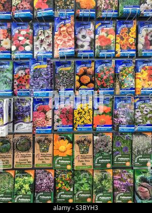 Colourful packets of flower seeds for sale, UK Stock Photo