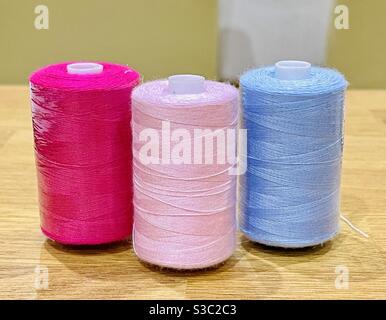 Reels of coloured cotton thread. No people. Stock Photo
