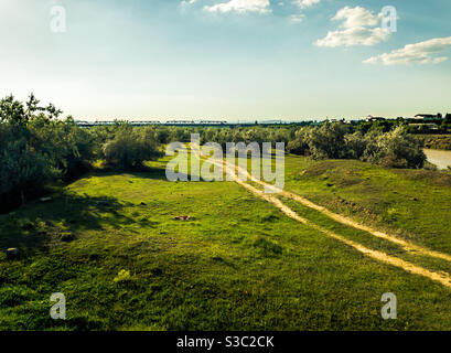 Path in the field Stock Photo