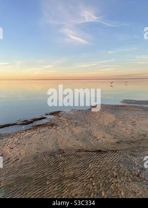 Sunset at low tide over the Choctawhatchee Bay Florida with pelicans flying over the water Stock Photo