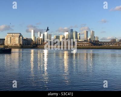 River Thames is flowing low as the sun sets over London. Across the river Canary Wharf can be seen behind private buildings reflecting in water as a seagull flys past Greenwich river bank. Stock Photo