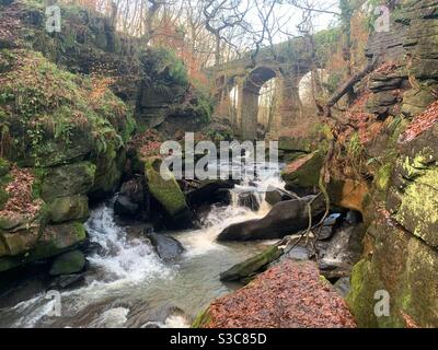 Healey Dell Nature Reserve, Rochdale , Greater Manchester, the United ...