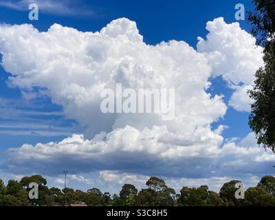 Bright towering cumulus cloud developing over Bally Shannassy park in Melbourne. Stock Photo