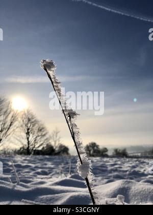 UK weather:Sunny afternoon in Morley, Leeds, West Yorkshire. 15th January 2021 With a Sunny day mixed with yesterday’s snow showing nature at its best. Credit:Victoria Gardner/Alamy Live News Stock Photo