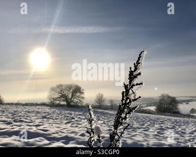 UK weather:Sunny afternoon in Morley, Leeds, West Yorkshire. 15th January 2021 With a Sunny day mixed with yesterday’s snow showing nature at its best. Credit:Victoria Gardner/Alamy Live News Stock Photo