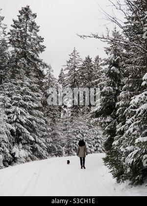 Spaziergang im Winter Stock Photo