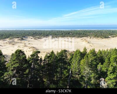 Oregon Dunes National Recreation Area. Stock Photo