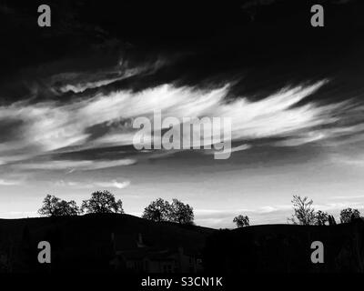 Cirrus clouds over winter oaks, in black and white Stock Photo