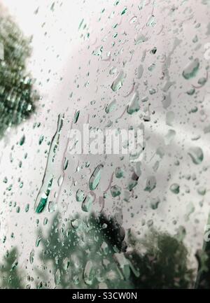 Outside shot of raindrops on car windshield reflecting green trees Stock Photo