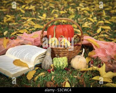 Autumn still life: basket with pumpkins, a scarf, a book placed in yellow leaves on the ground Stock Photo