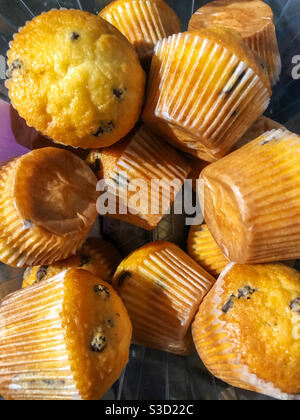 A tub of mini chocolate chip muffins. Stock Photo