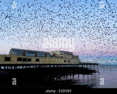 Aberystwyth, West Wales, UK. Friday 5th February 2021. Weather: A spectacular murmuration of starlings bursting out from under the Royal Pier. Photo Credit ©️ Rose Voon / Alamy Live News: Stock Photo