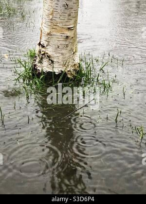 Raindrops falling in puddles and flooded fields Stock Photo