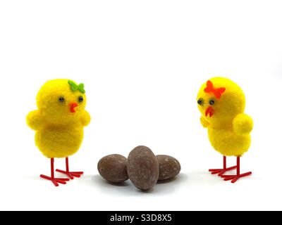 Two cute model chicks with small chocolate Easter eggs isolated on a plain white background Stock Photo