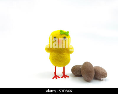 Cute model chick with small chocolate Easter eggs isolated on a plain white background Stock Photo