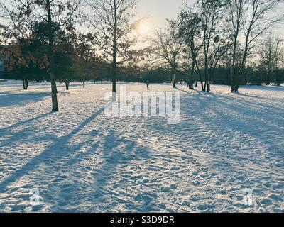 The Park am Gleisdreieck in the Berlin district of Kreuzberg in February 2021 in winter Stock Photo