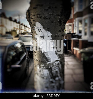 Ghostly paint mark on a tree Stock Photo