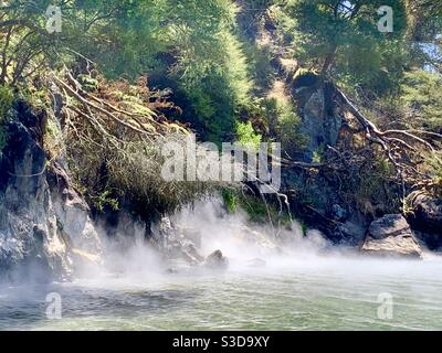 Hot Water Beach on Lake Tarawera, New Zealand Stock Photo