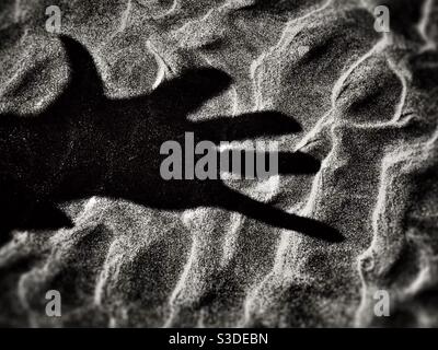 Dramatic image of shadow of a hand on textured sandy beach Stock Photo