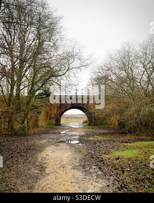 Forest scene, railway bridge Stock Photo