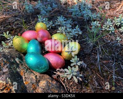 Close up view of colourful foil wrapped chocolate Easter eggs on forest floor on a sunny early spring day Stock Photo