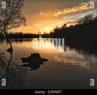 Sunset over Black Park Lake, Buckinghamshire, England Stock Photo