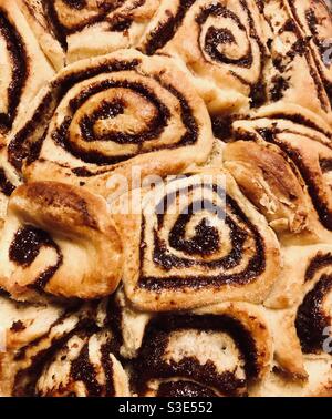 Freshly baked cinnamon rolls Stock Photo