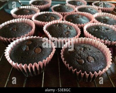 Chocolate chip cupcakes freshly baked and put to cool Stock Photo