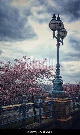Retro style image showing cherry tree blossom with blue metal railings and antique lamppost. Alexandra Palace north London Stock Photo