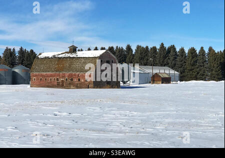 Beautiful old red barn in a snowy field on a blue-sky winter day. Alberta prairies, near Calgary, Canada. Stock Photo