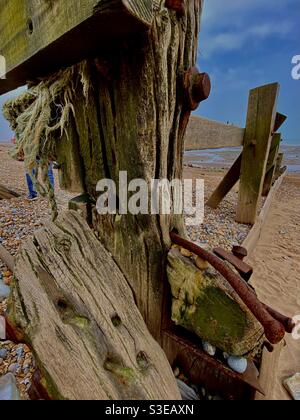 Weathered old timber groynes and posts on the pebbled and sand beach at Pett Level Kent UK Stock Photo