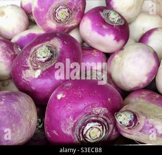 Purple turnips in a pile Stock Photo