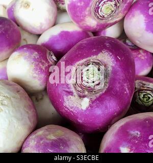 Purple turnips in a pile Stock Photo