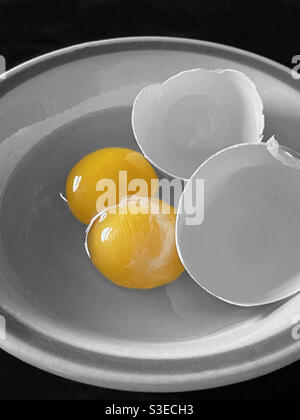 Broken raw fresh double egg yolk up close in a bowl with the egg shell.   Selective color. 1 in 1200 averaged probably of finding one! Stock Photo
