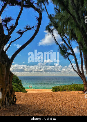 Couple viewed through tree branches on Sunset Beach on the North Shore of the island of Oahu, Hawaii Stock Photo