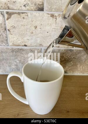 Hot water for tea in cup · Free Stock Photo