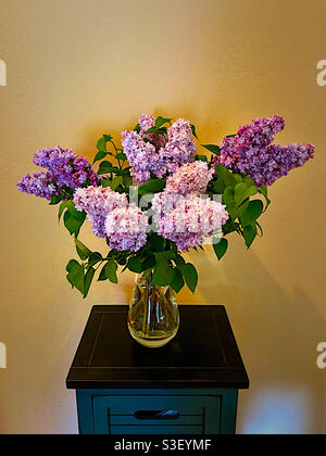 Bouquet of lilacs in a glass vase Stock Photo