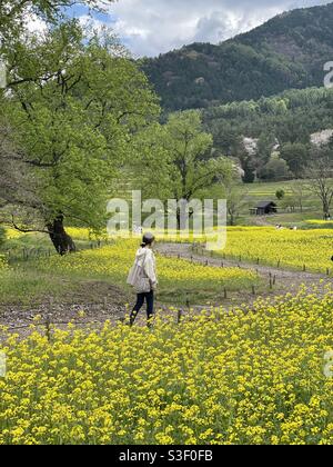 Azumino park in Nagano prefecture Japan Stock Photo