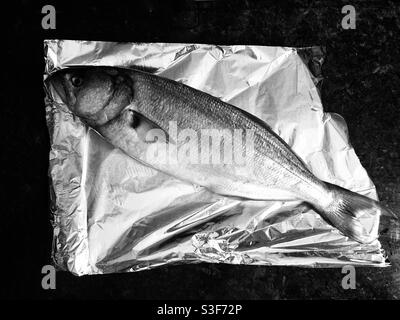 Black and white image of a fish on aluminium foil sheet on a black worktop Stock Photo