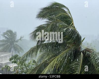 Extremely Severe Cyclonic Storm Tauktae Was A Powerful Tropical Cyclone ...