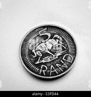 Dirty money. South African R5 coin. Monochrome. South Africa. Wildebeest image. Five Rand coin. Currency. Stock Photo