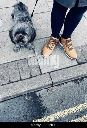 Dog and owner With matching feet